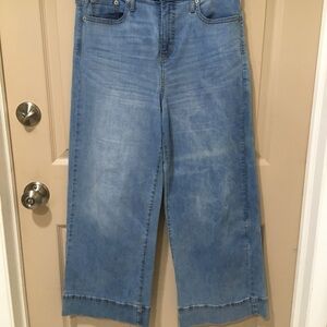 Banana Republic High Rise Light Blue Wide-Leg Stretch Designer Festival 28/6